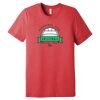 Unisex Triblend Tee (same day) Thumbnail
