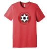 Unisex Triblend Tee (same day) Thumbnail