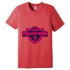 Unisex Triblend Tee (same day) Thumbnail