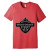 Unisex Triblend Tee (same day) Thumbnail