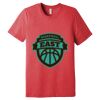 Unisex Triblend Tee (same day) Thumbnail