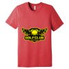 Unisex Triblend Tee (same day) Thumbnail