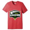 Unisex Triblend Tee (same day) Thumbnail