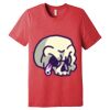 Unisex Triblend Tee (same day) Thumbnail