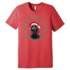 Unisex Triblend Tee (same day) Thumbnail