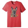 Unisex Triblend Tee (same day) Thumbnail
