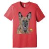 Unisex Triblend Tee (same day) Thumbnail