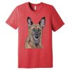 Unisex Triblend Tee (same day) Thumbnail