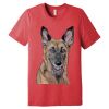 Unisex Triblend Tee (same day) Thumbnail