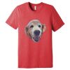 Unisex Triblend Tee (same day) Thumbnail