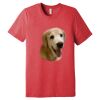 Unisex Triblend Tee (same day) Thumbnail