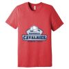 Unisex Triblend Tee (same day) Thumbnail