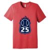 Unisex Triblend Tee (same day) Thumbnail