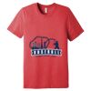 Unisex Triblend Tee (same day) Thumbnail