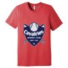 Unisex Triblend Tee (same day) Thumbnail