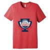 Unisex Triblend Tee (same day) Thumbnail