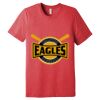 Unisex Triblend Tee (same day) Thumbnail
