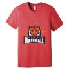 Unisex Triblend Tee (same day) Thumbnail