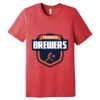 Unisex Triblend Tee (same day) Thumbnail