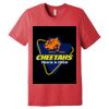 Unisex Triblend Tee (same day) Thumbnail