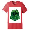 Unisex Triblend Tee (same day) Thumbnail