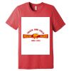 Unisex Triblend Tee (same day) Thumbnail