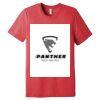 Unisex Triblend Tee (same day) Thumbnail