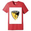 Unisex Triblend Tee (same day) Thumbnail