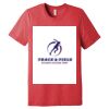 Unisex Triblend Tee (same day) Thumbnail