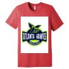 Unisex Triblend Tee (same day) Thumbnail