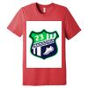 Unisex Triblend Tee (same day) Thumbnail
