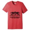 Unisex Triblend Tee (same day) Thumbnail