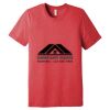 Unisex Triblend Tee (same day) Thumbnail