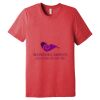 Unisex Triblend Tee (same day) Thumbnail