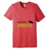 Unisex Triblend Tee (same day) Thumbnail