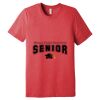 Unisex Triblend Tee (same day) Thumbnail