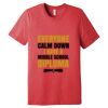 Unisex Triblend Tee (same day) Thumbnail