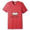 Unisex Triblend Tee (same day) Thumbnail
