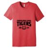 Unisex Triblend Tee (same day) Thumbnail