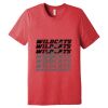 Unisex Triblend Tee (same day) Thumbnail