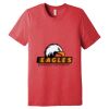 Unisex Triblend Tee (same day) Thumbnail