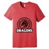 Unisex Triblend Tee (same day) Thumbnail