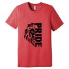Unisex Triblend Tee (same day) Thumbnail