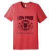 Unisex Triblend Tee (same day) Thumbnail