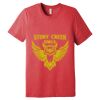 Unisex Triblend Tee (same day) Thumbnail