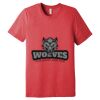 Unisex Triblend Tee (same day) Thumbnail