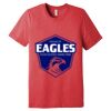 Unisex Triblend Tee (same day) Thumbnail