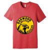 Unisex Triblend Tee (same day) Thumbnail