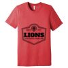 Unisex Triblend Tee (same day) Thumbnail