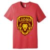 Unisex Triblend Tee (same day) Thumbnail